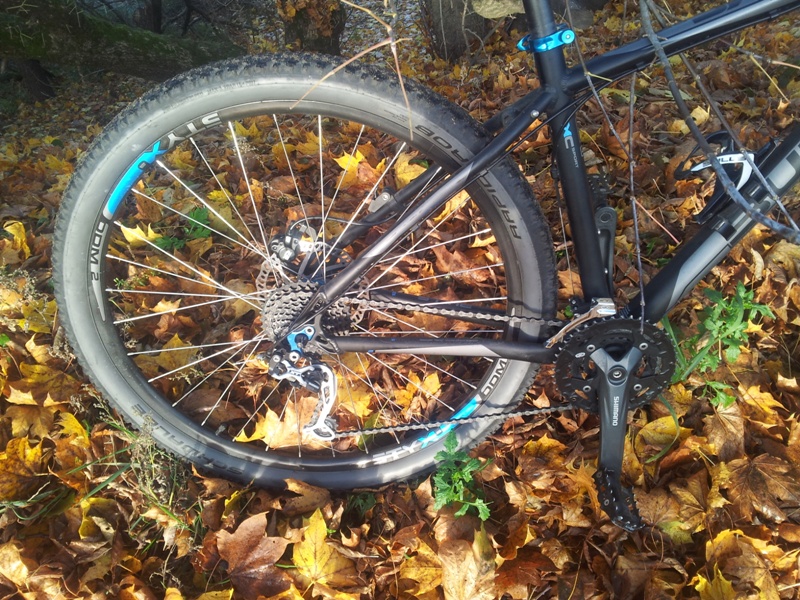 20131019_094713.jpg
