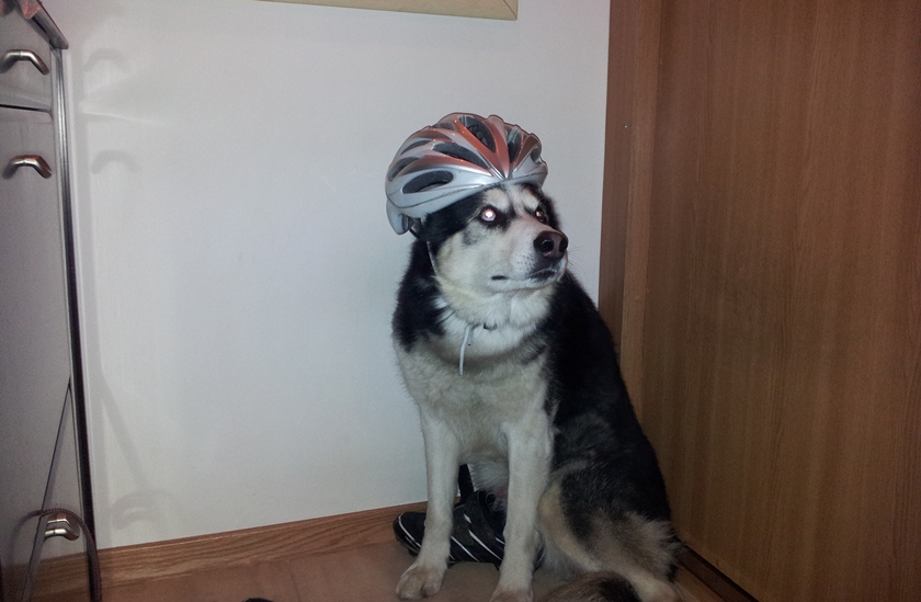 2012-04-15 20.41.31.jpg