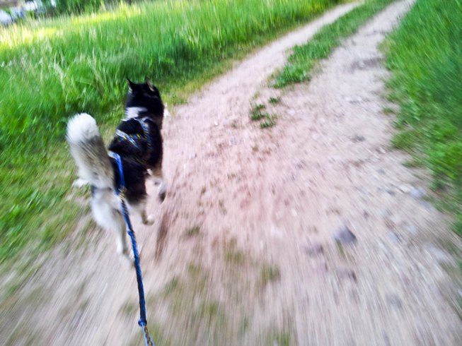 2012-05-28 20.18.13.jpg